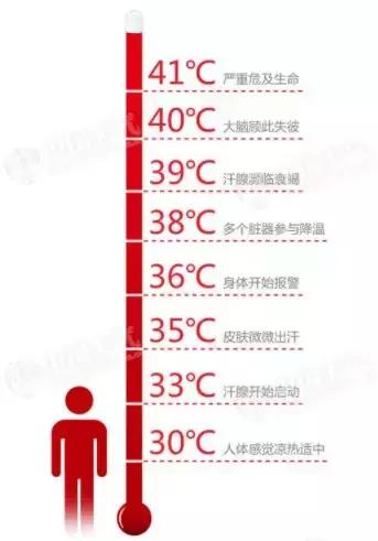 人体能忍受多高的温度?