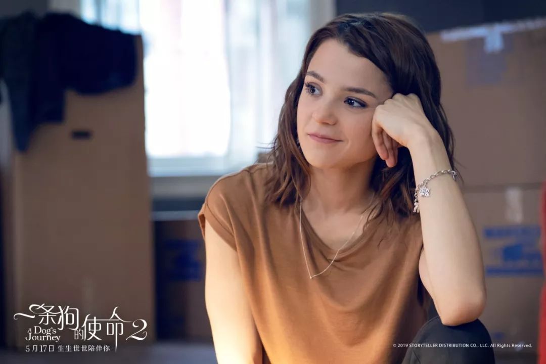 年度催泪弹来了一条狗的使命2正在热映瞬间治愈你的心