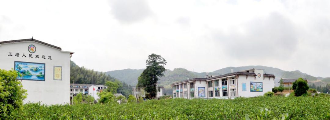 彭溪镇玉塔畲族村精心打造美丽乡村升级版花园式村