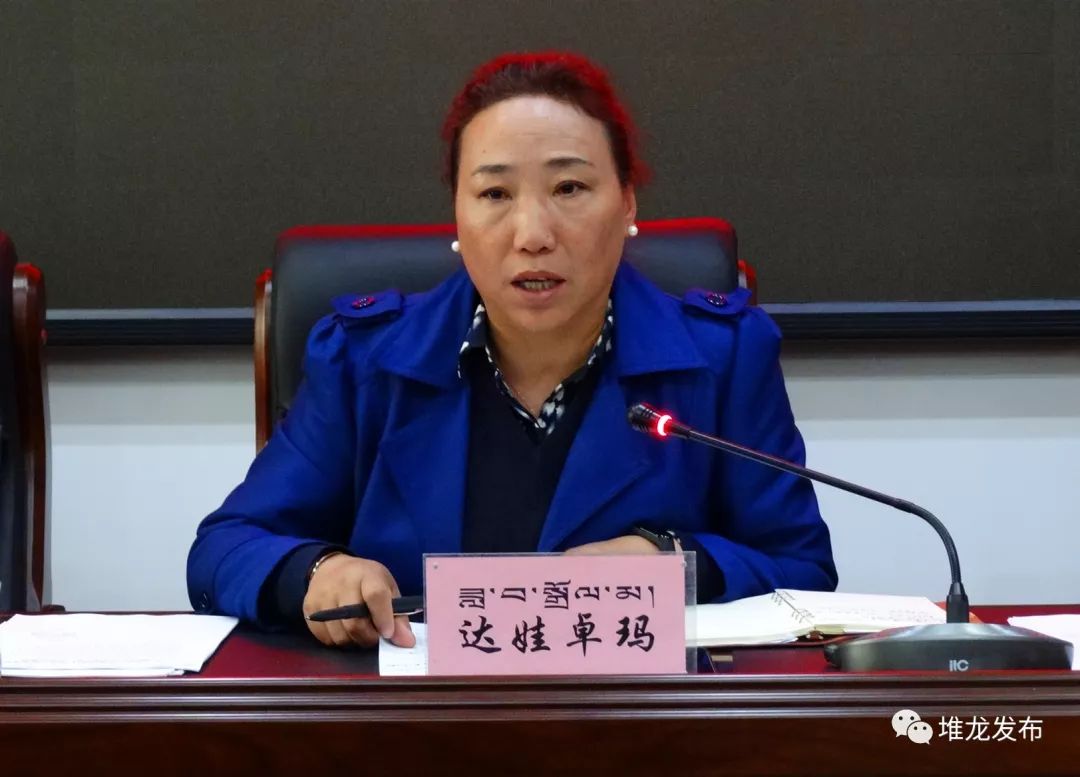堆龙德庆区召开2019年健康堆龙建设工作推进会