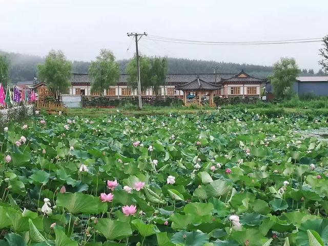 露营?烧烤?来敦化市官地镇江南朝鲜族民俗村!