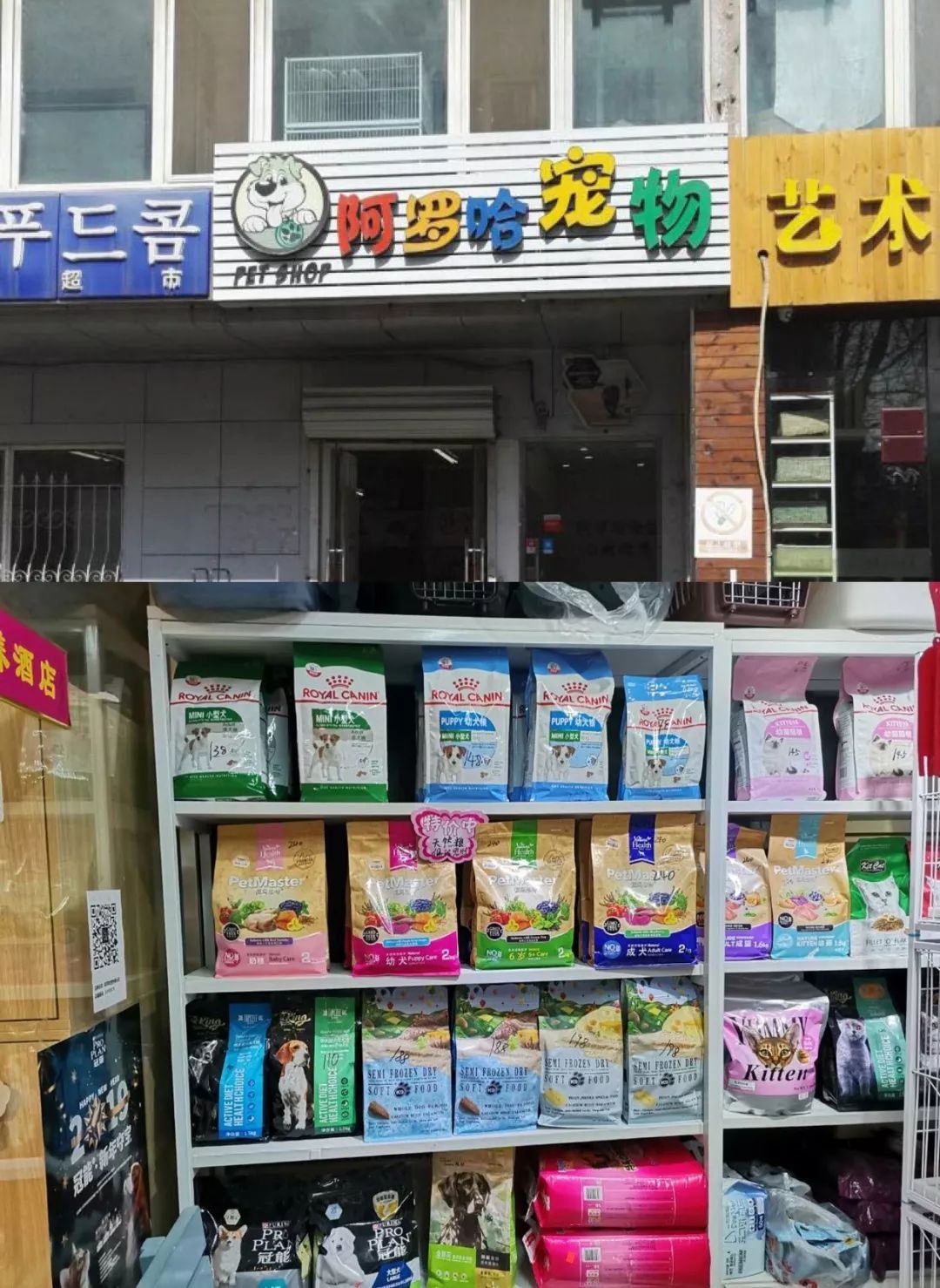 开宠物店暴利全案解析宠物洗护美容食品用品寄养售卖揭秘宠物经济令人