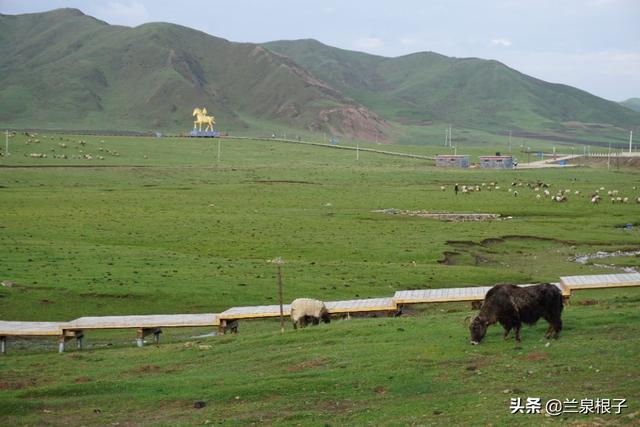 走进距兰州不远的夏河阿米贡洪景区的安果民俗村