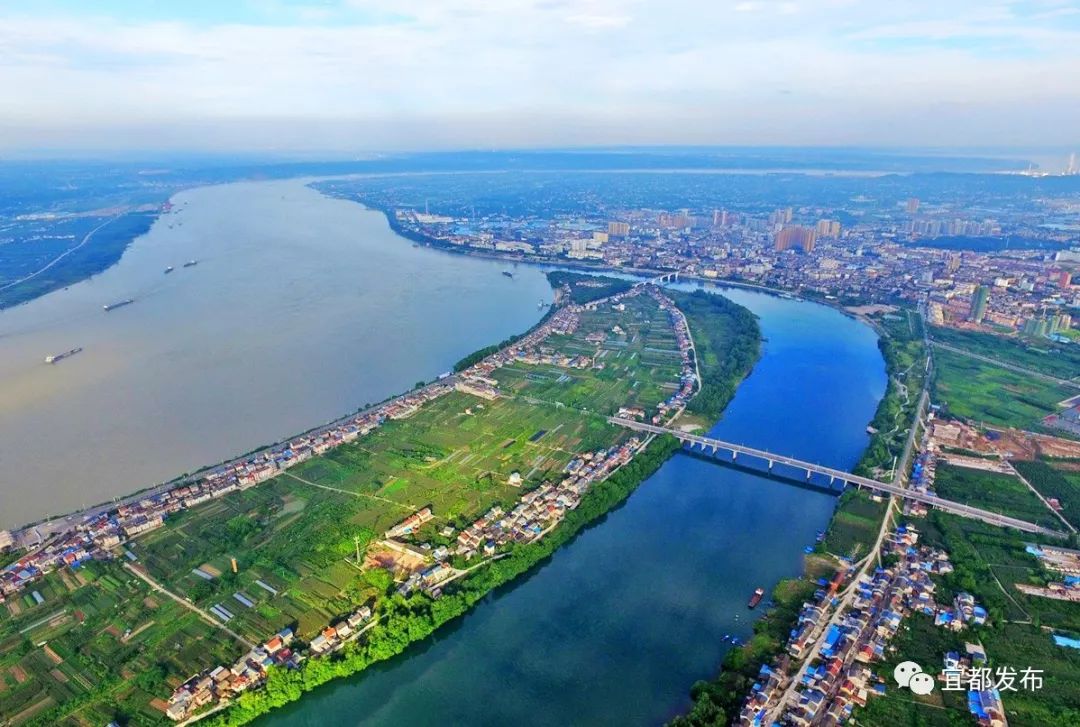 一代鸿儒杨守敬