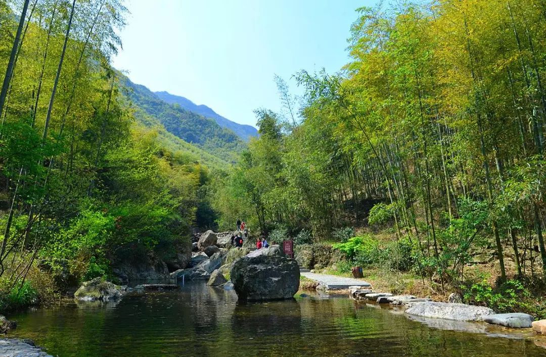 大径山的这些好去处你来过几个