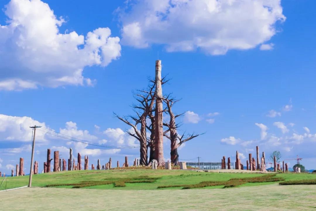 推动产业发展构建大健康产业全国政协常委一行莅临森山健康小镇