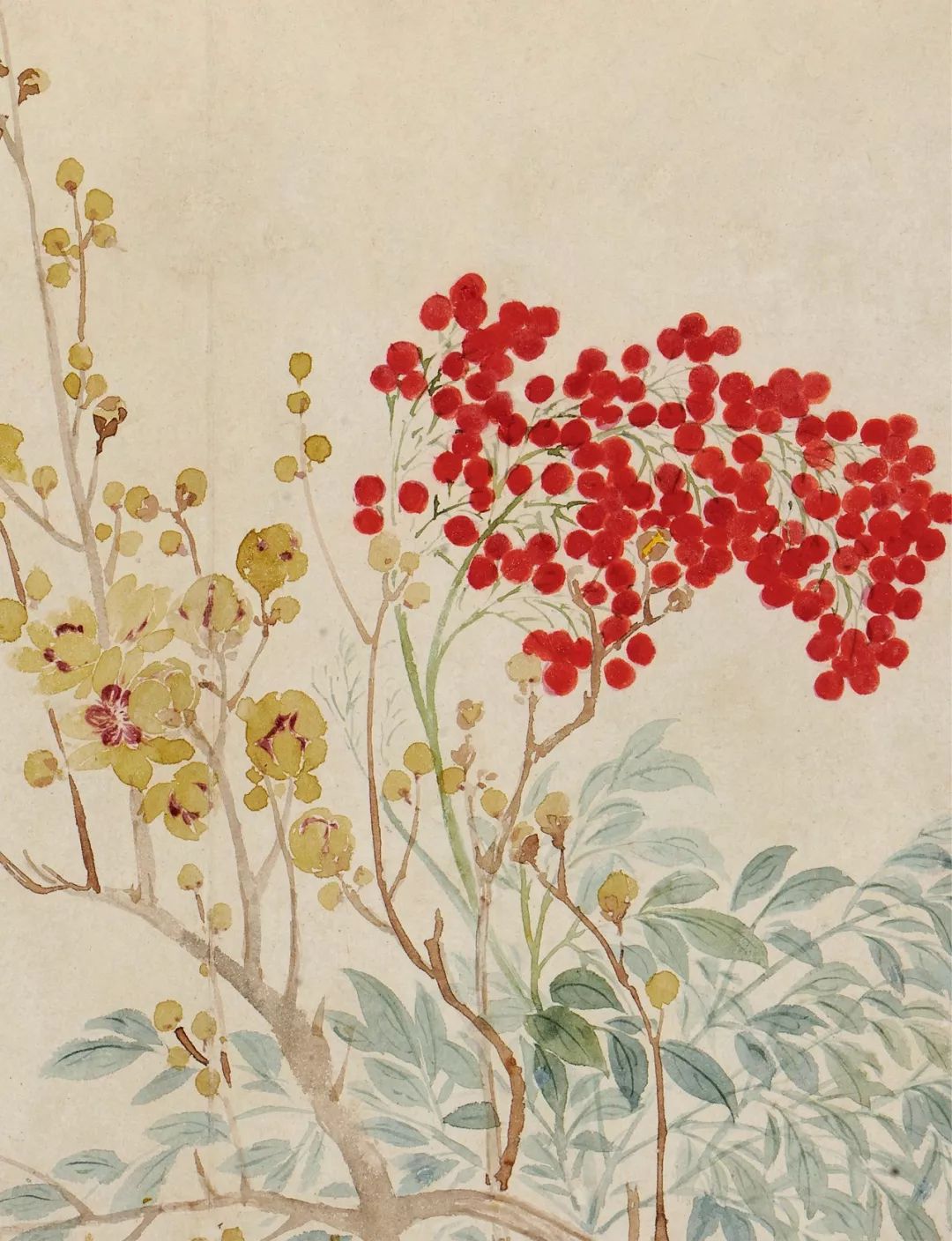 百代标程】清洁如霜立高步 心月孤圆吞万象 —— 恽寿平《花卉册》