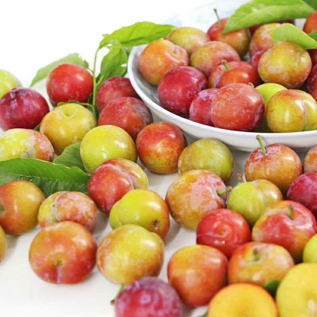 李子养颜促消化,还能保肝,但是再好,这三类人最好一口别碰