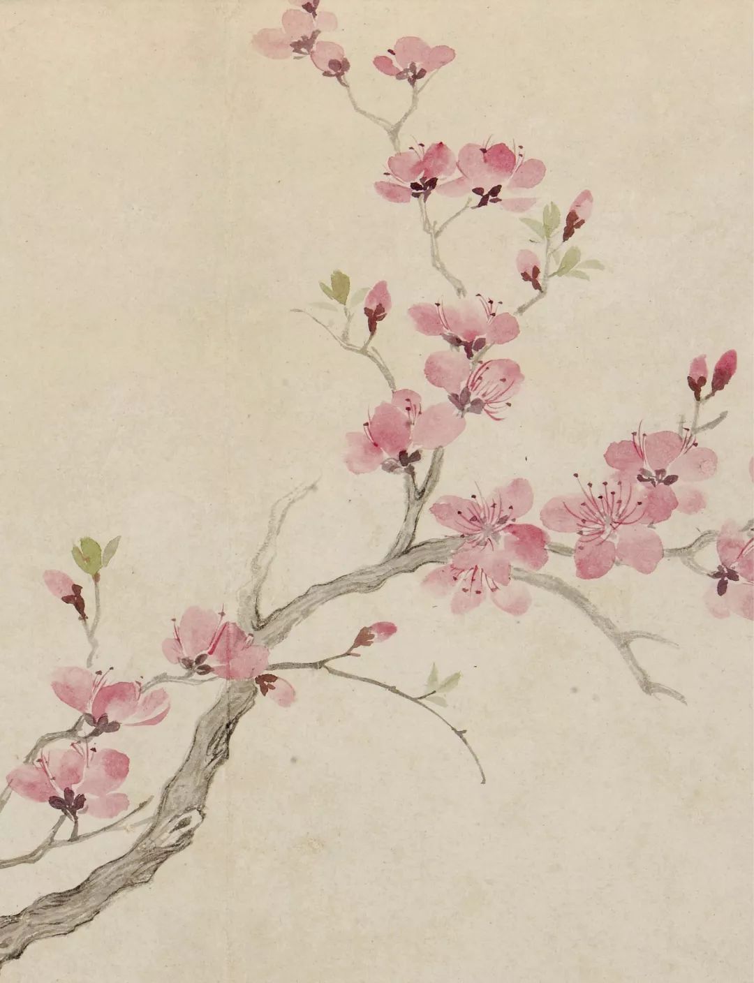 【保利春拍 百代标程】清洁如霜立高步 心月孤圆吞万象 —— 恽寿平