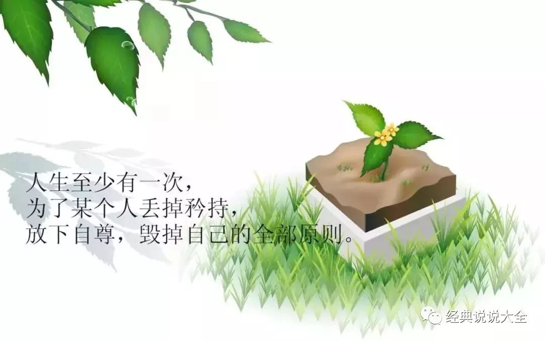 20条经典人生感悟说的太有道理了