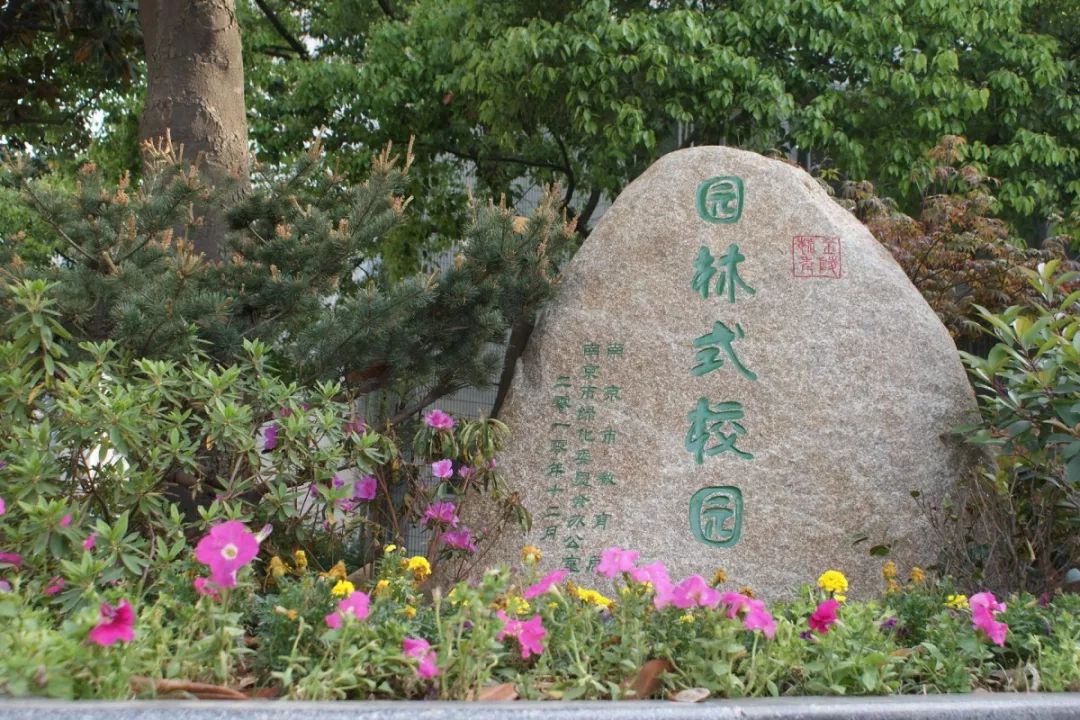 原创关注中考六南京市第六十六中学让青春的美好在这里相遇