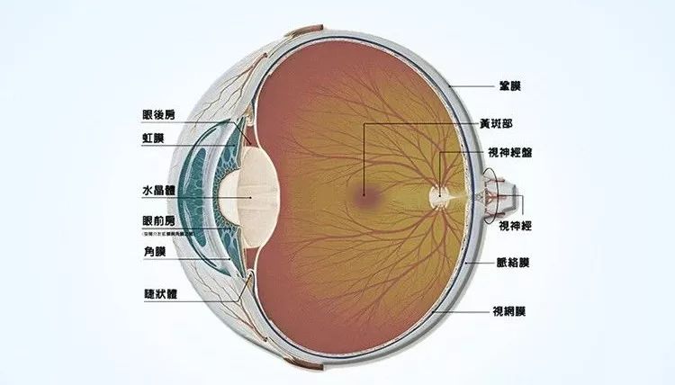 全球首款防晕车眼镜最科学的防晕车方法