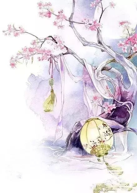 你读过哪些很美的古风句子?_一朵花