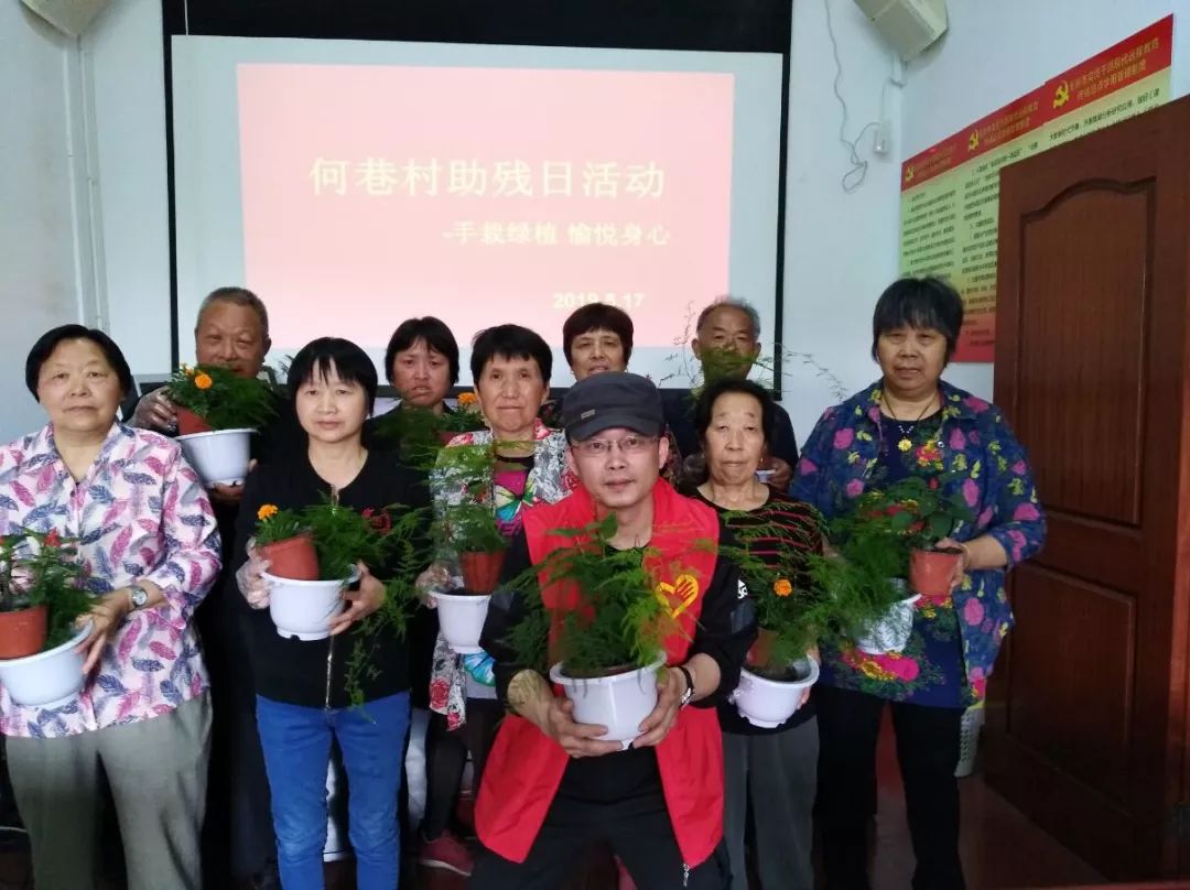 新桥镇绿植租赁