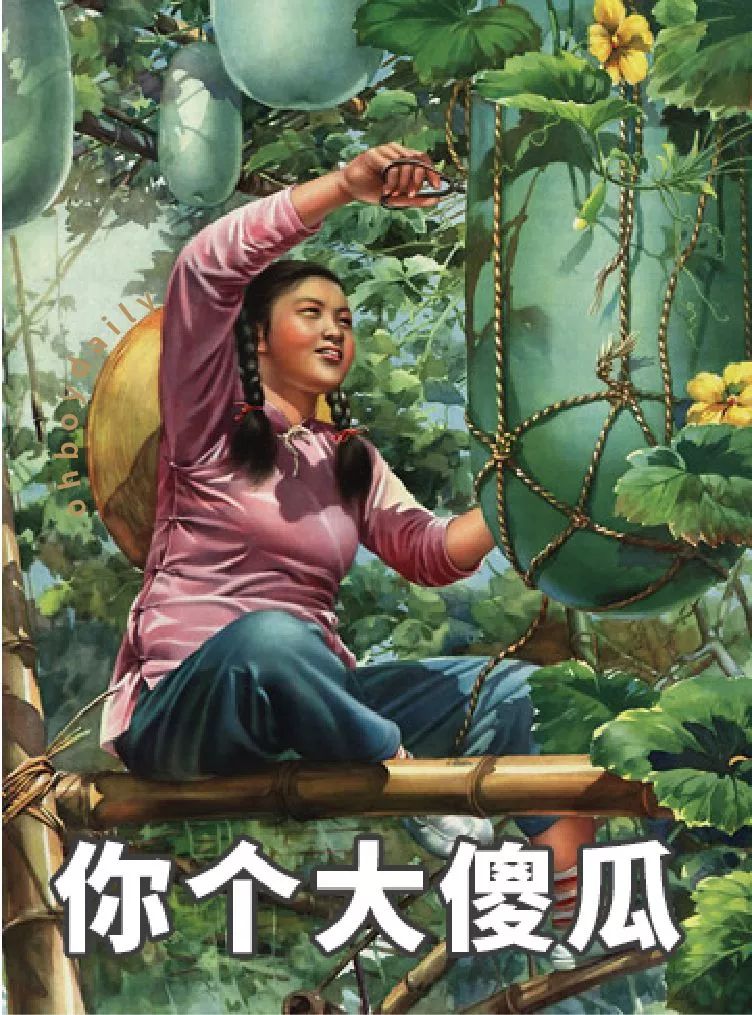 中国闺蜜塑料情图鉴