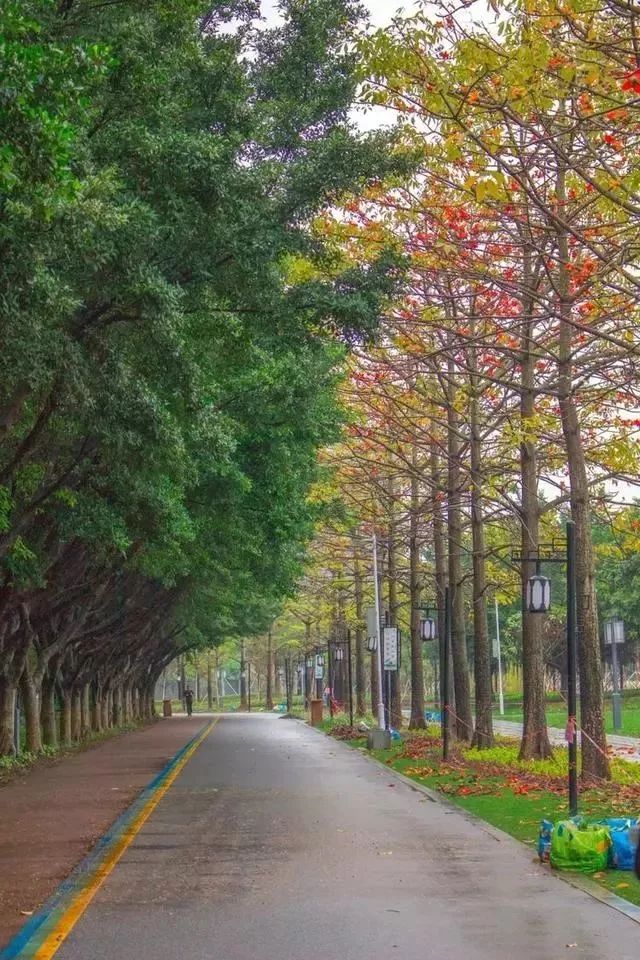 我酸了!廣州附近有個檸檬公園,檸檬有一個別墅那麼大