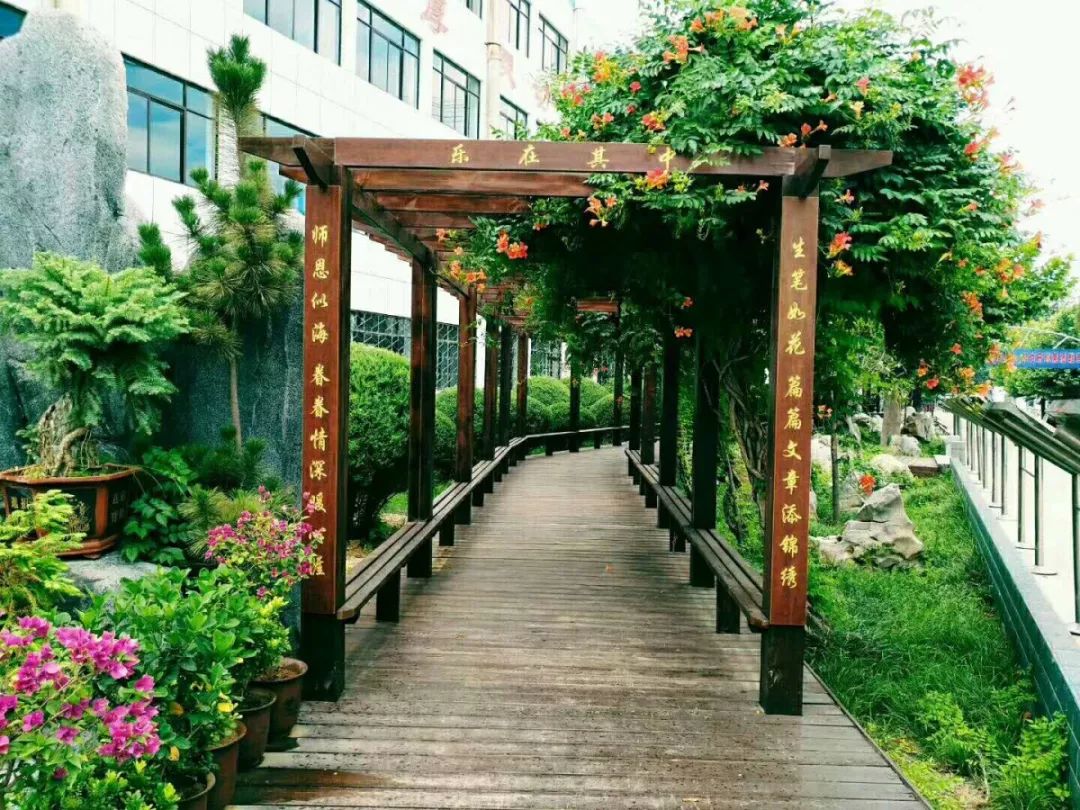 龙山中学校园定格十五岁青春正当时肥城市龙山中学初三年级毕业照合影