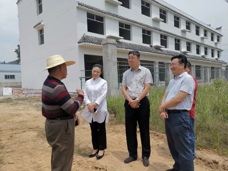 陈兴旺到洪山镇调研企业发展及项目建设