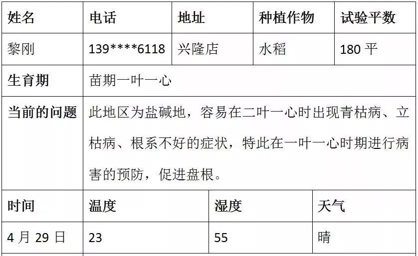 苗稻6号水稻品种备案图片