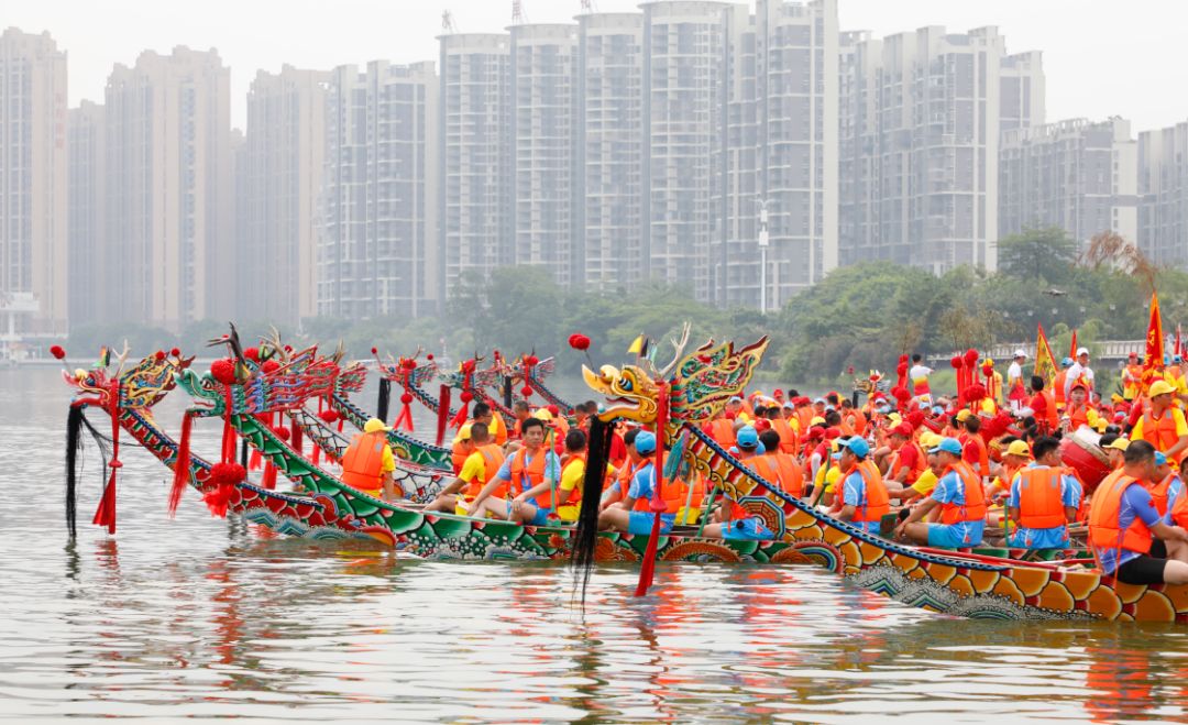 揭阳龙船,揭阳,龙船_大山谷图库