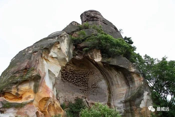 威远发现山王有座花果山你晓得啵