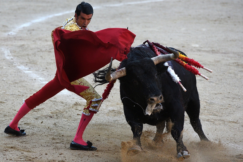 西班牙马德里,当地举行圣伊西德罗节(san isidro festival )斗牛表演