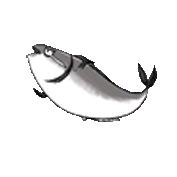 177_177gif 动态图 动图