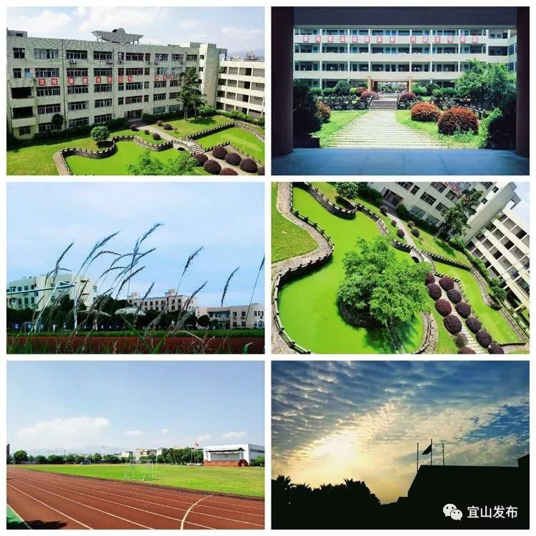 美丽校园苍南县宜山高中近三年招生分数线根据苍南县教育局公布的招生