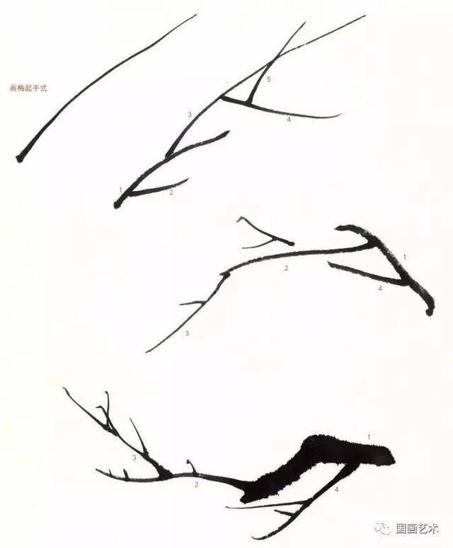 梅花基础画法讲解