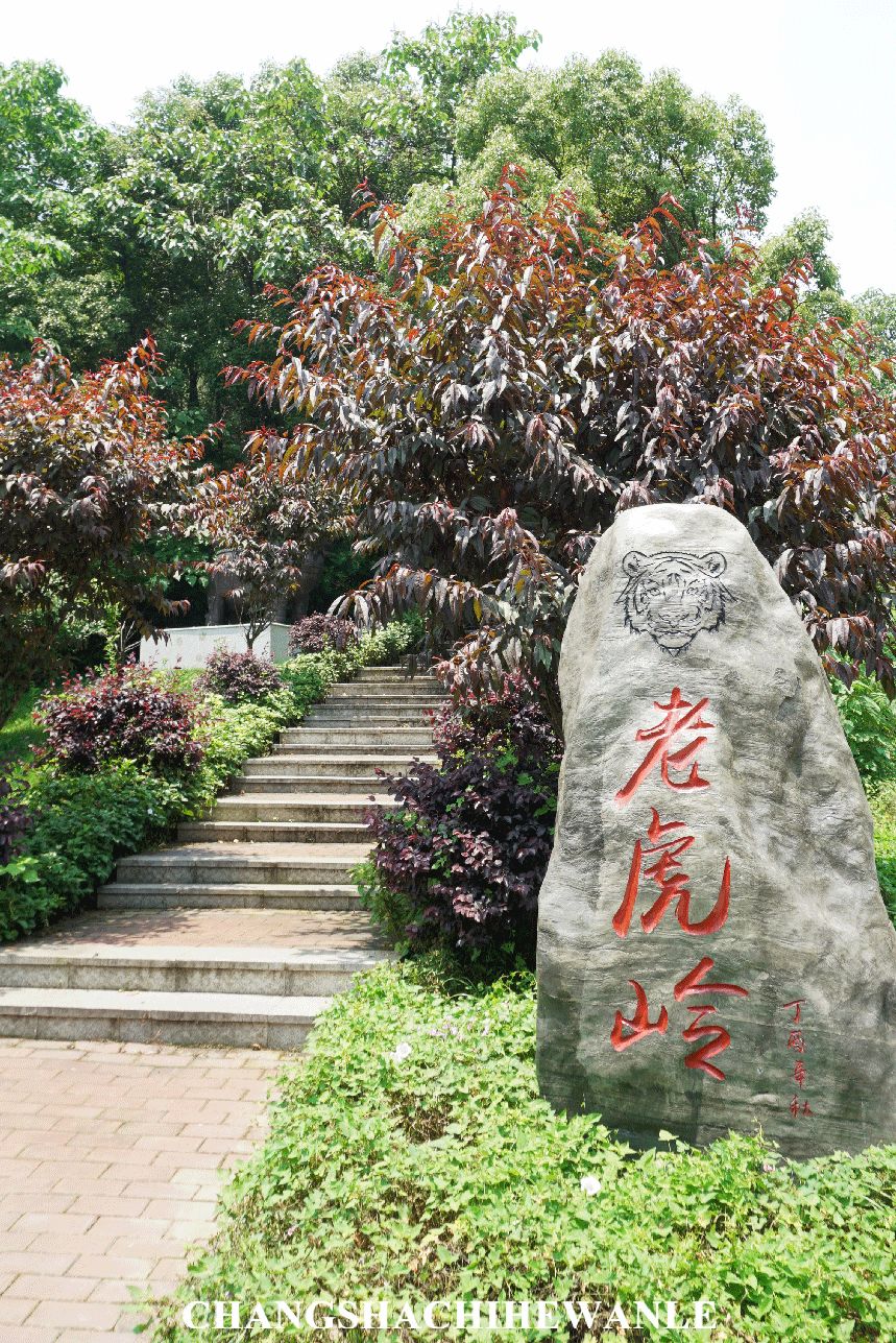 老虎岭公园可以说是 商学院里的"氧吧"了,为学校增添了一处充满绿色的