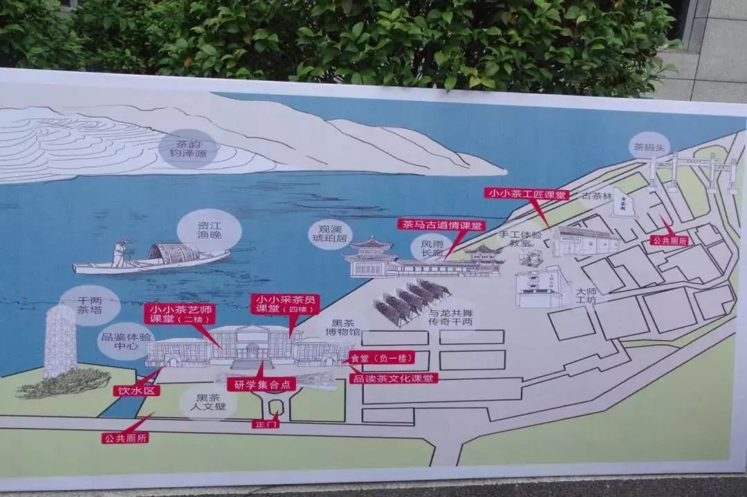 安化一中师生赴白沙溪茶厂开展研学活动