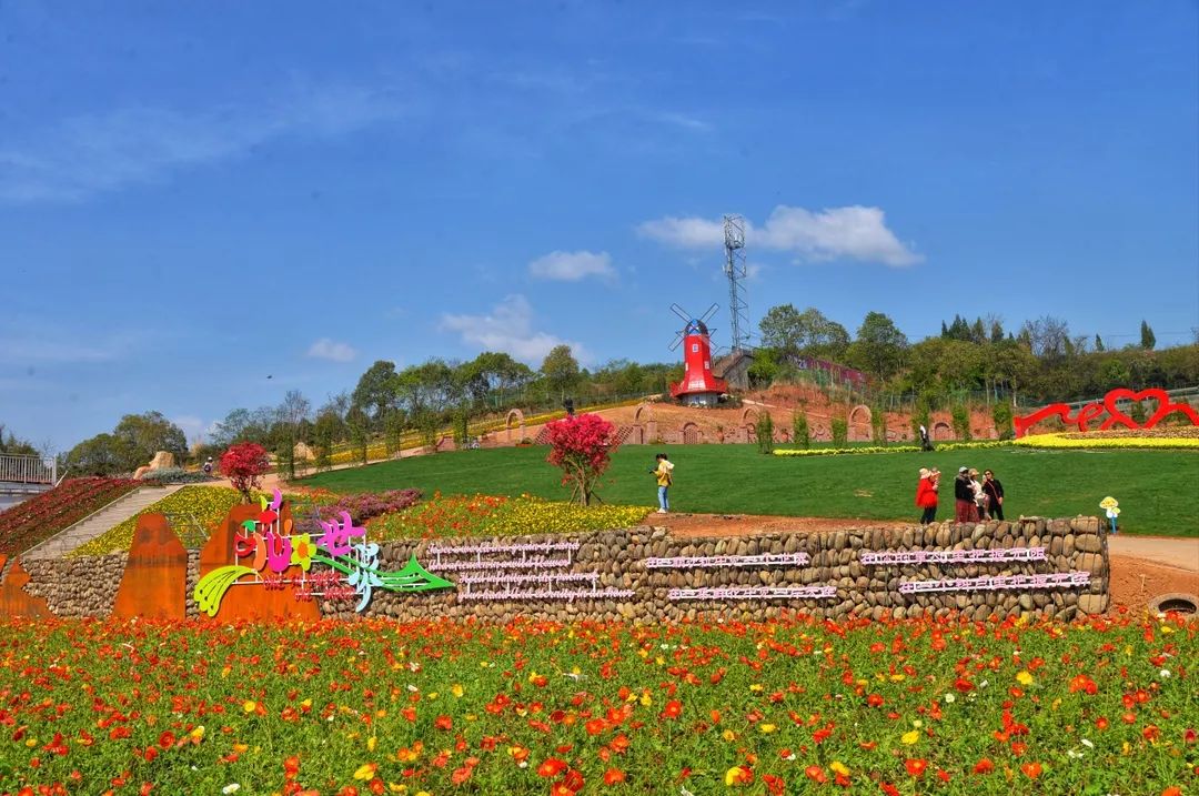 利州区赤化镇泥窝社区"花花世界"花卉博览园一直很"火",不少游客即使