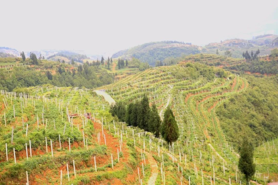 来源:大方发布编辑:罗洪本期编审:杨力联系我们