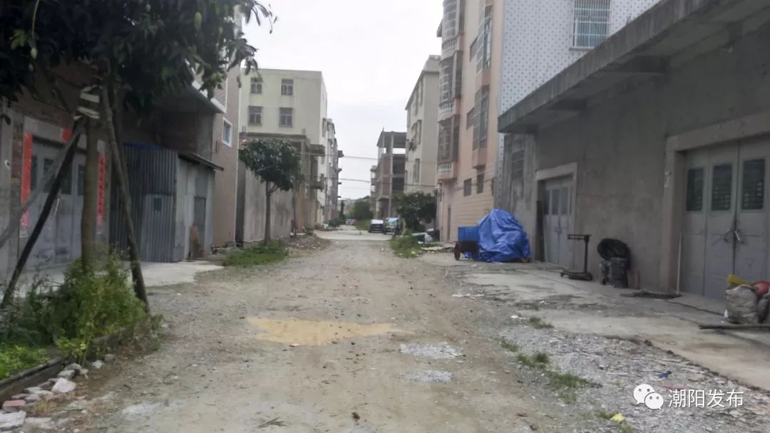 贵屿这些村居在实地考核评比中发现