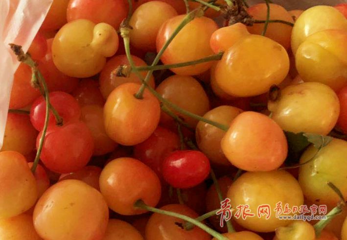 【科普】这种水果有毒,吃5颗会要人命?很多人不知道的是