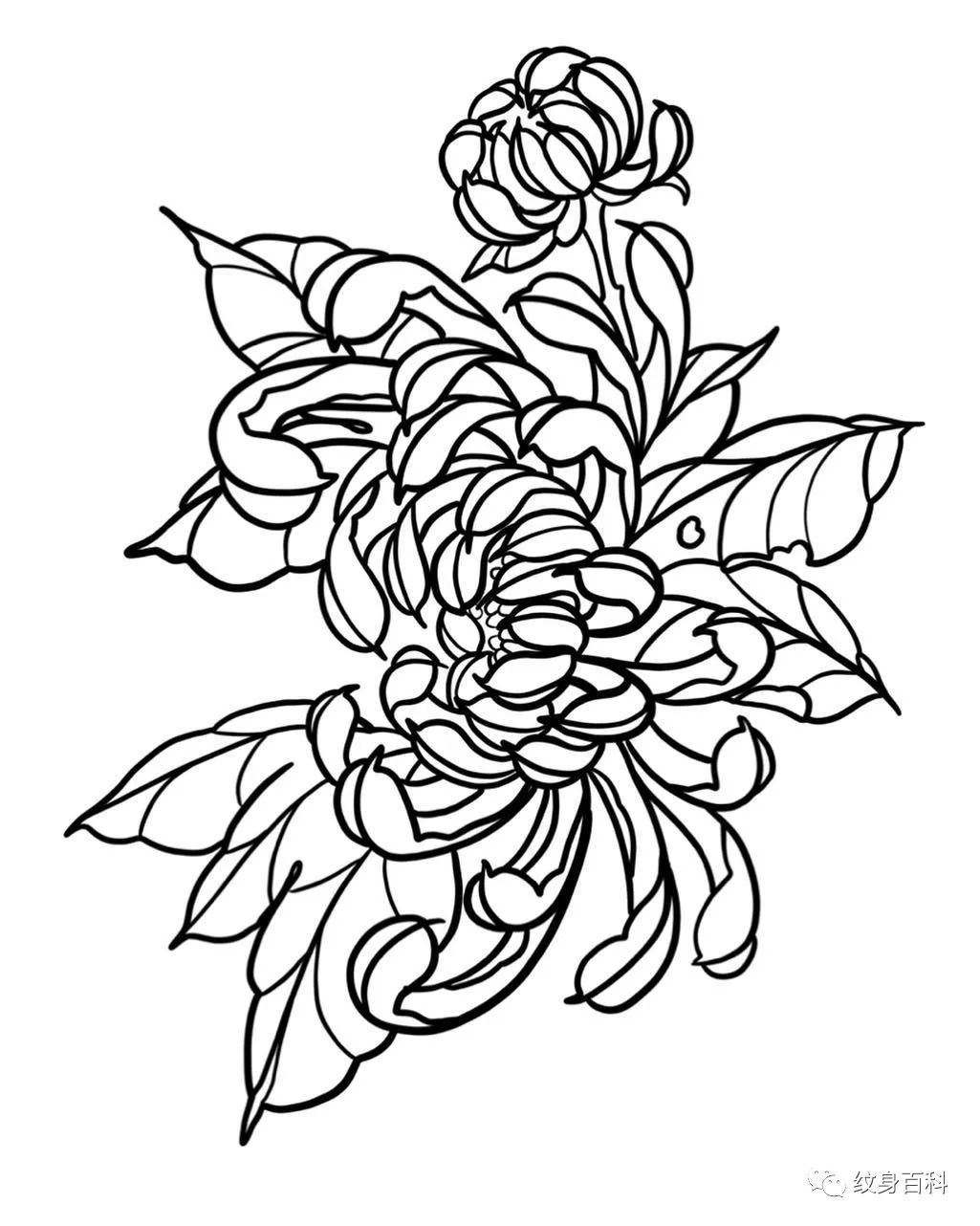 纹身比较实用的割线手稿