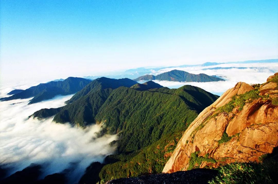 广阔无垠的浩瀚星海……桂林猫儿山的美,你不容错过_景区