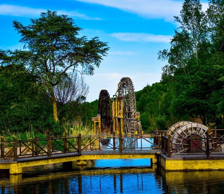 道须沟百年香杨树祈福高考学子金榜题名!