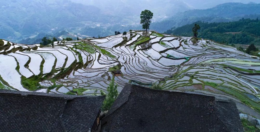 不容错过小岩底梯田开启最美观光摄影模式