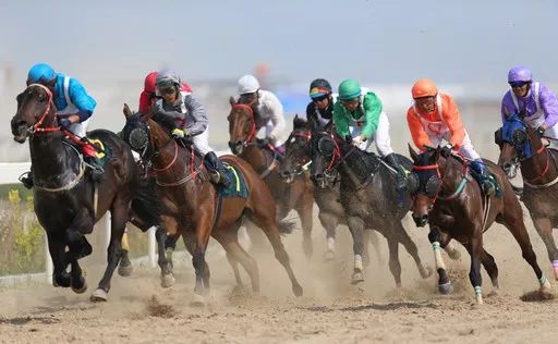 赛事科右中旗图什业图赛马会马术俱乐部联赛开始了来看赛马吧