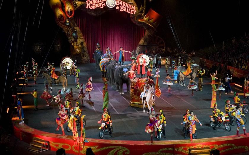 「奇幻大马戏 欢乐嘉年华」专场演出即日起登陆恒大悦珑湾,狮虎熊都来