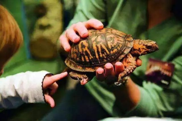 青岛首家全生态室内动物园火爆来袭!3000余种萌宠尽收眼底!