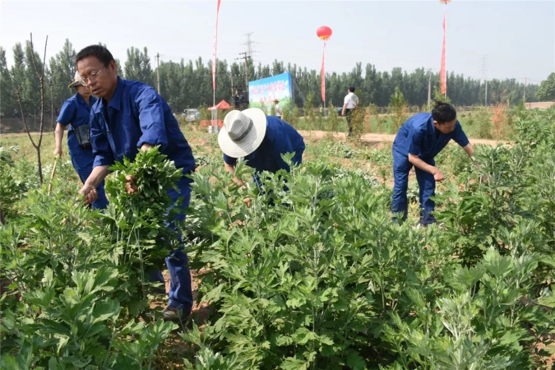 磁县索文彬图片