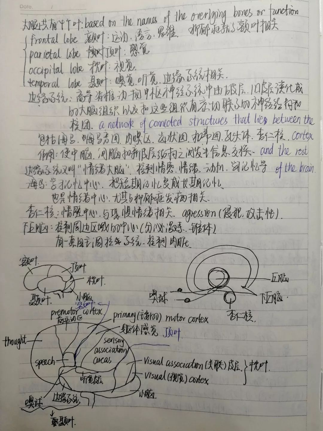 清华大学笔记手稿图片