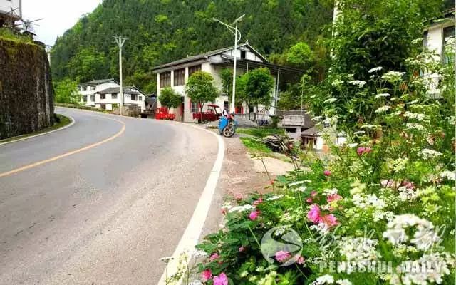 靛水街道桂花村:刷出乡村新"颜值"