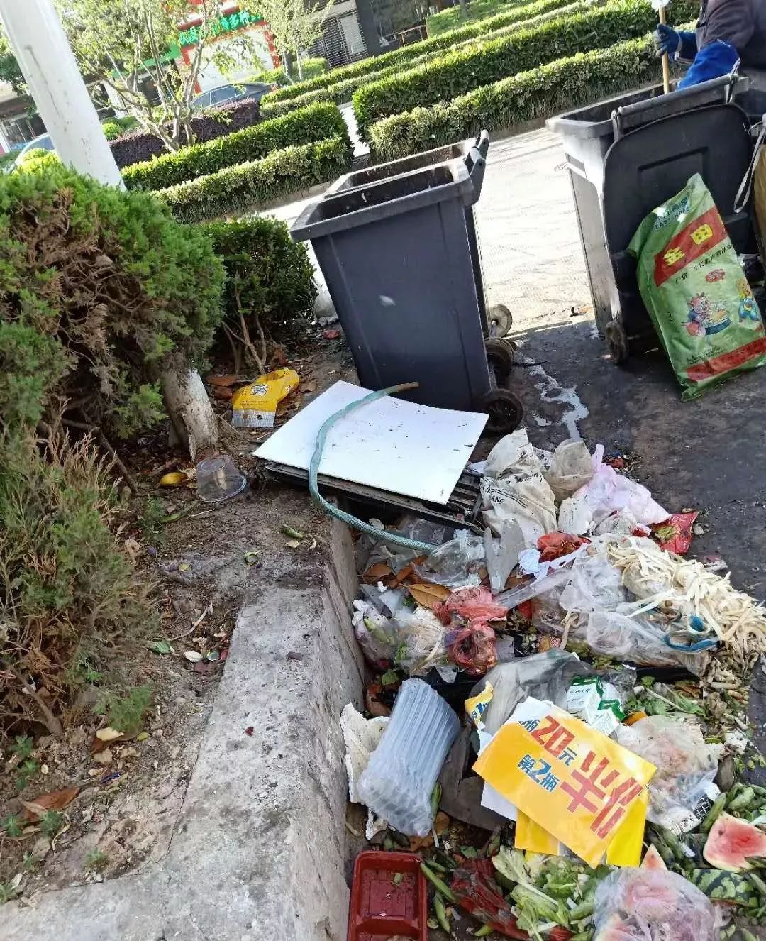 【茶余饭后】宝应县叶挺东路39号楼与40号楼中间路