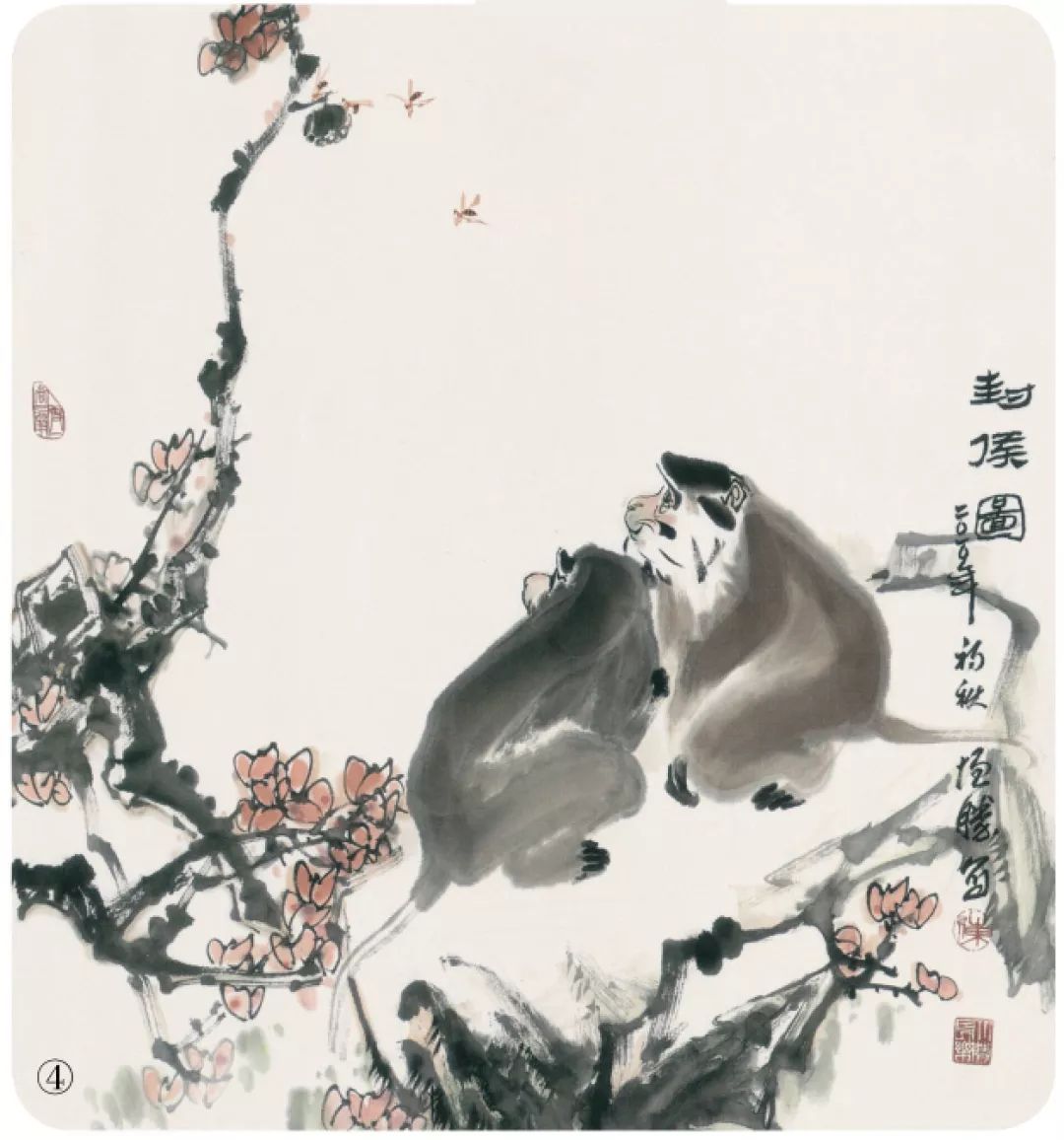 国画教程猴子的画法一学就会