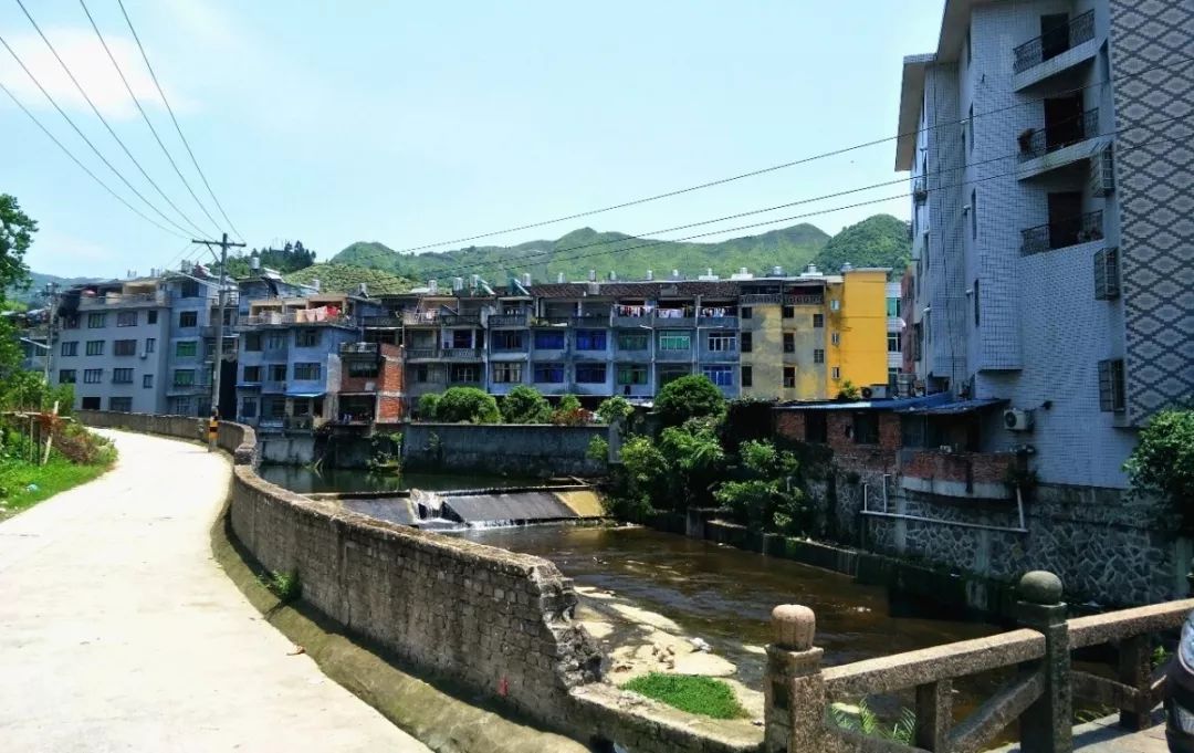 这个村宁德最大的栀子花海即将迎来盛花期错过再等一年