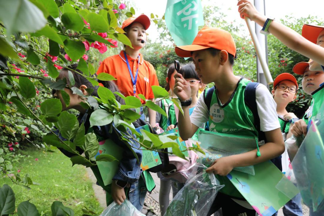 "走进自然,探索自然!近日在高新区公园里出现了一群学生在考察