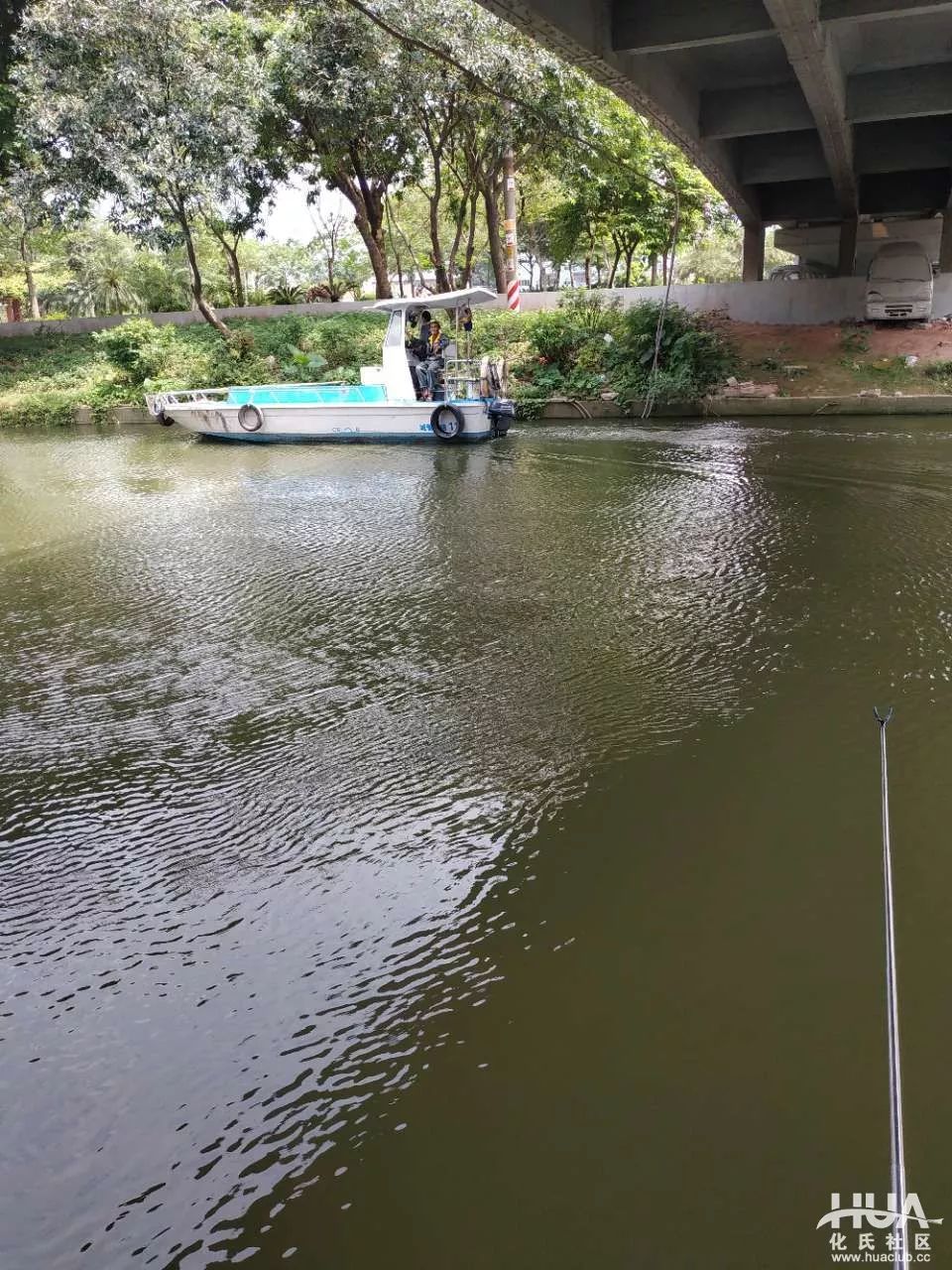 花地河休闲野钓31饵料开钓就有口